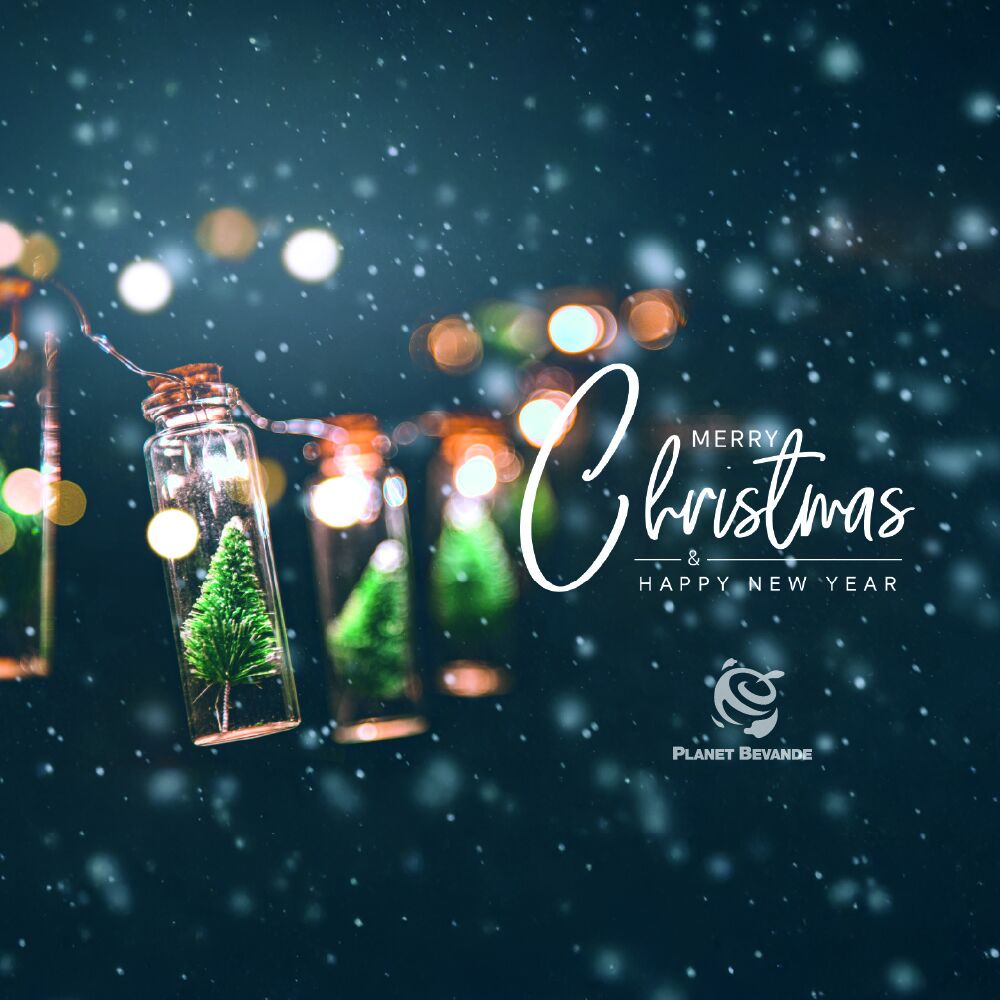 BUON NATALE E BUONE FESTE!